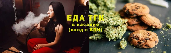 хмурый Абаза