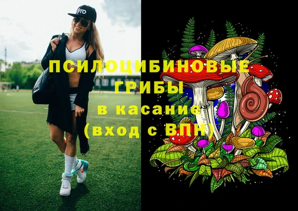 шишки Алзамай