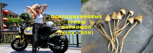 прущие крисы Абинск