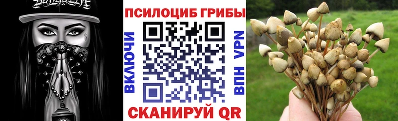 Галлюциногенные грибы Psilocybe  маркетплейс формула  Королёв 
